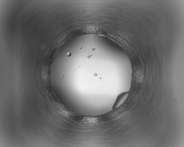 X0000073490665200608140843