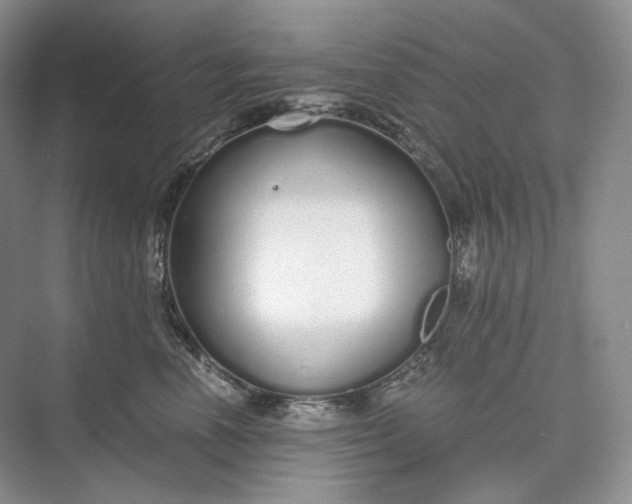 X0000073490666200608140843