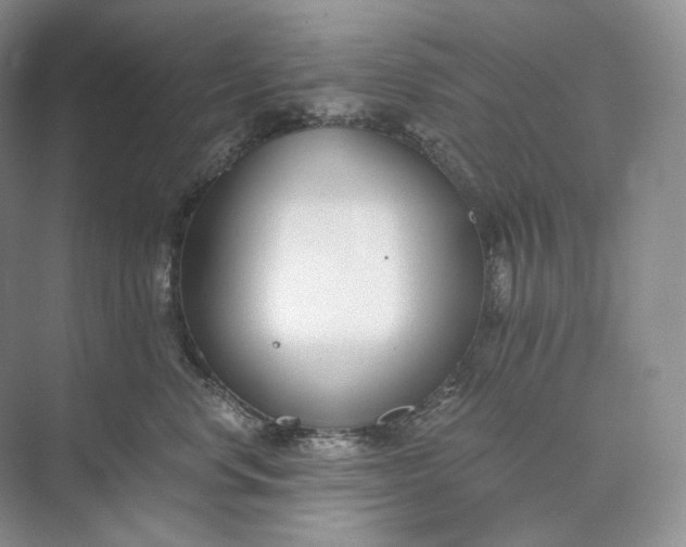 X0000073490668200608140843