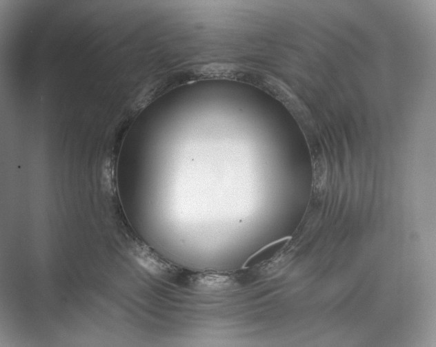 X0000073490669200608140844