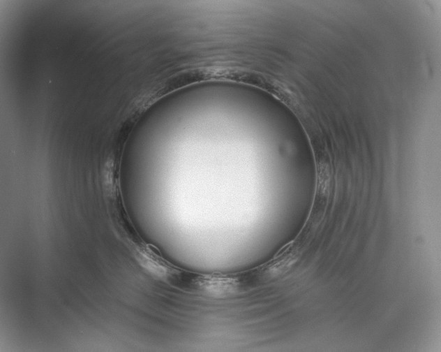 X0000073490670200608140844