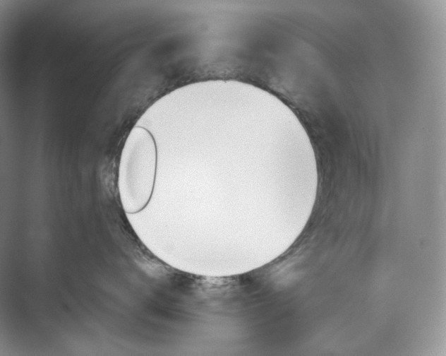 X0000073490672200608140844