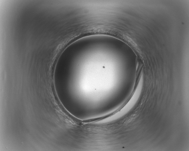 X0000073490673200608140843