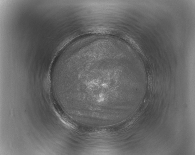 X0000073490674200608140843