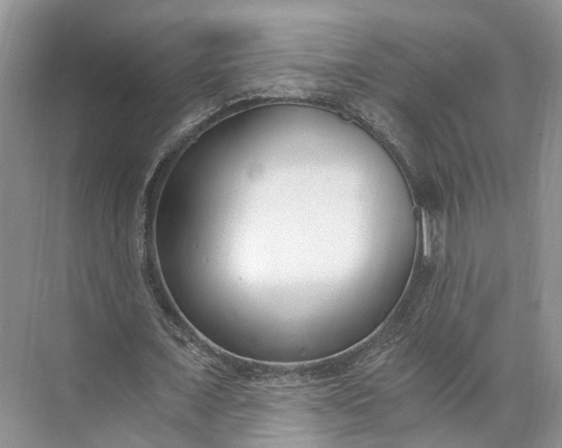 X0000073490675200608140843