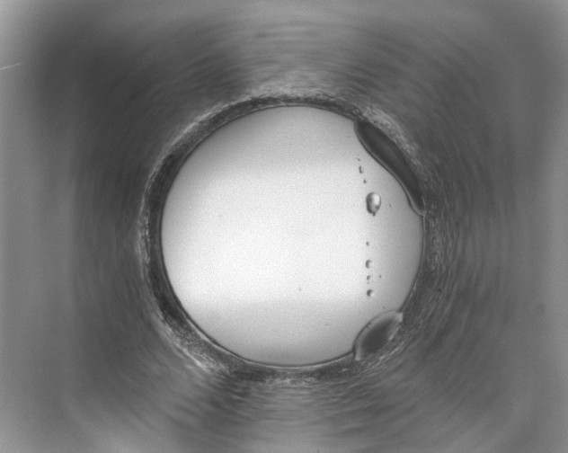 X0000073490680200608140843