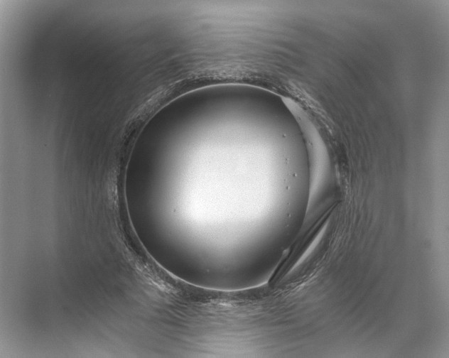 X0000073490681200608140843