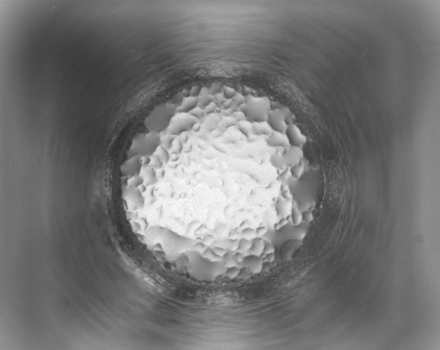 X0000073490683200608140843