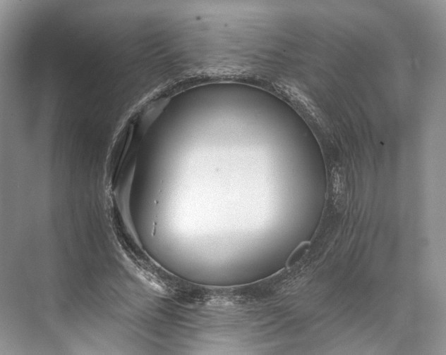 X0000073490684200608140843