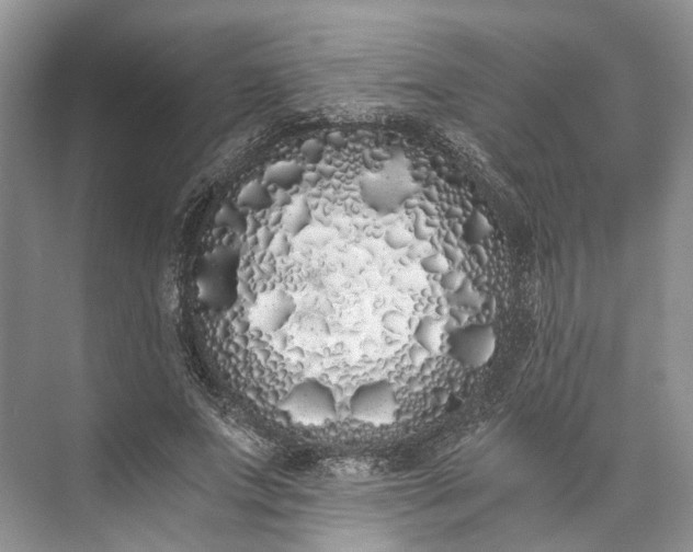 X0000073490687200608140843