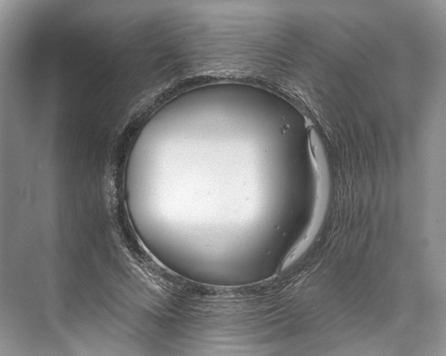 X0000073490688200608140842