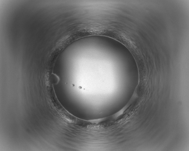 X0000073490689200608140842