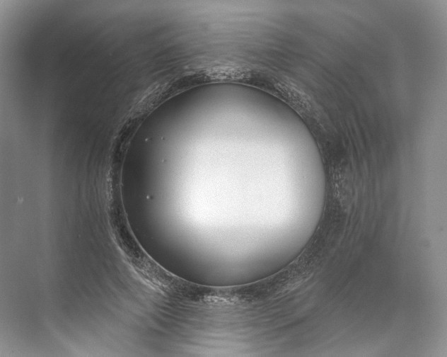 X0000073490690200608140842