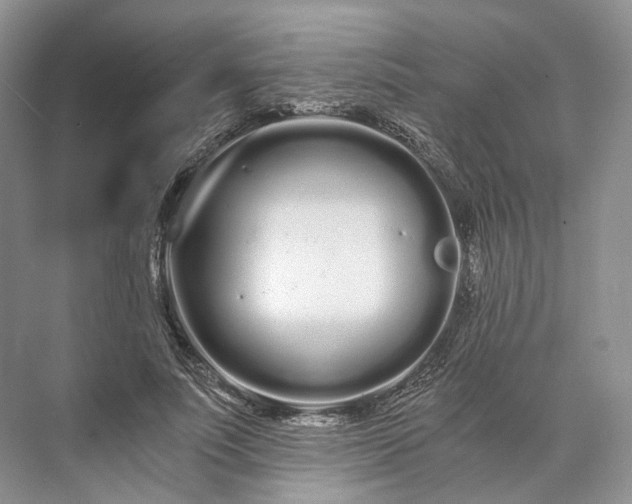 X0000073490691200608140842