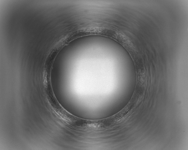 X0000073490692200608140842