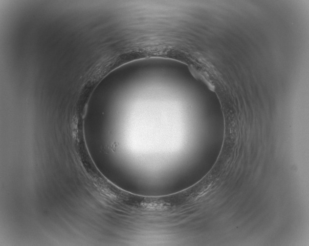 X0000073490693200608140842