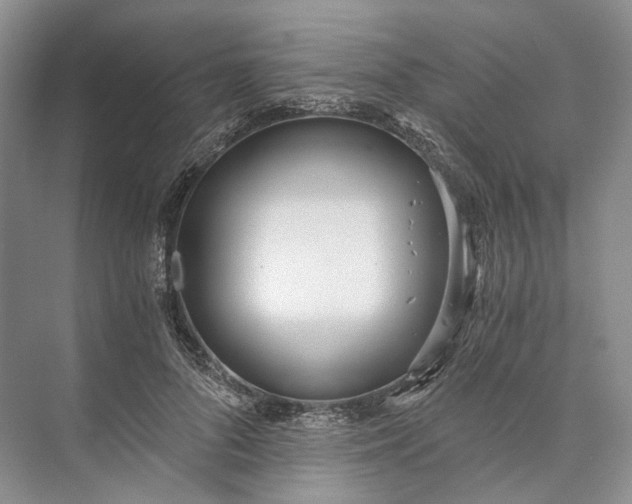 X0000073490696200608140842