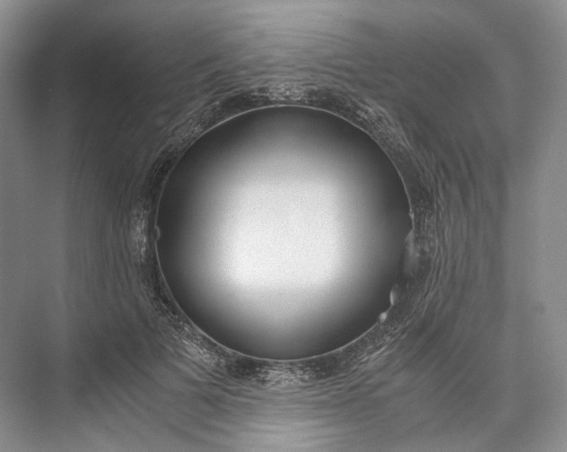 X0000073490697200608140842