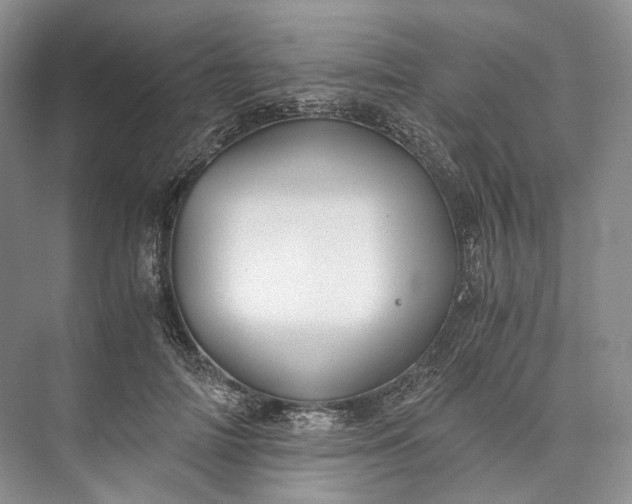 X0000073490698200608140842