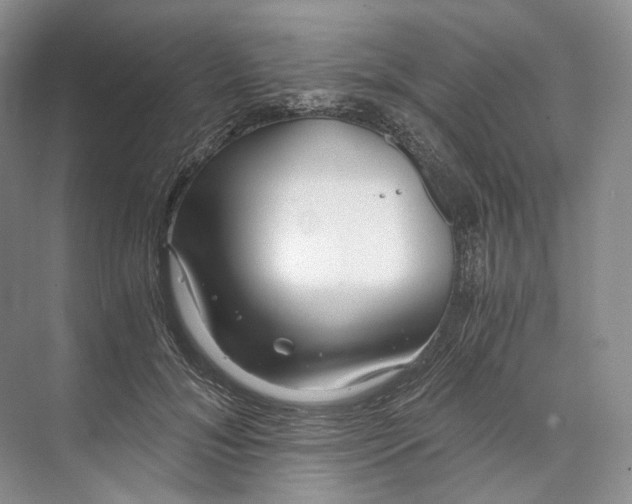 X0000073490700200608140842