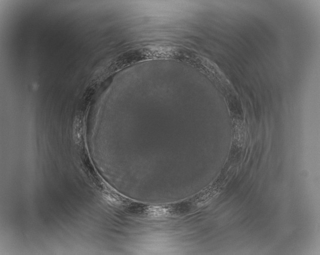 X0000073490701200608140842