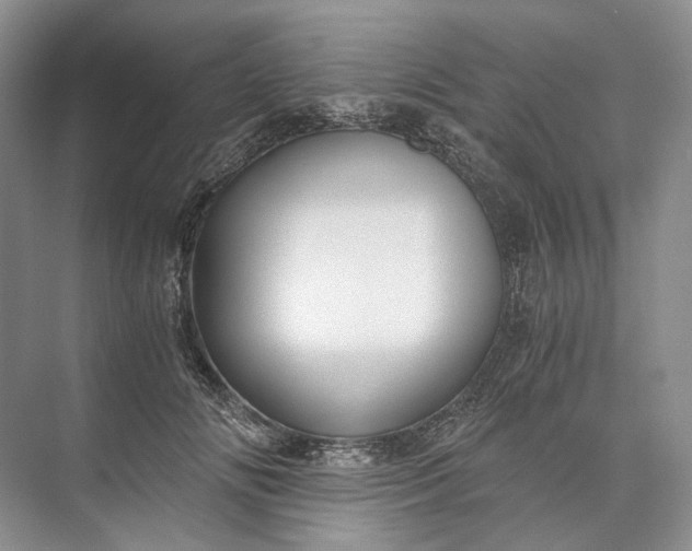 X0000073490702200608140842