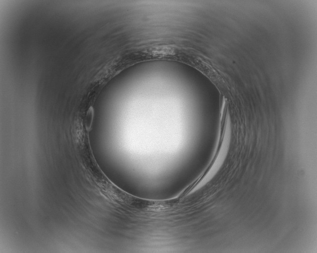 X0000073490704200608140842