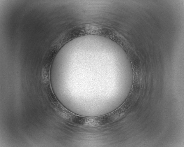 X0000073490705200608140842