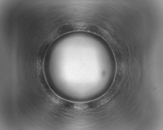 X0000073490707200608140842