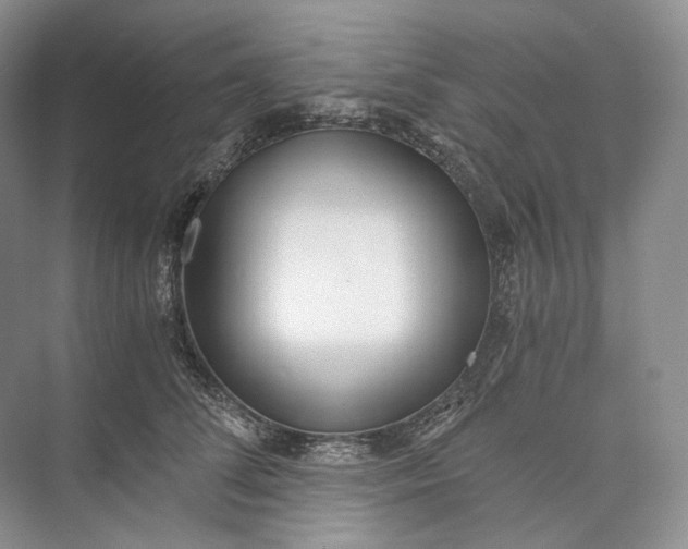 X0000073490708200608140842