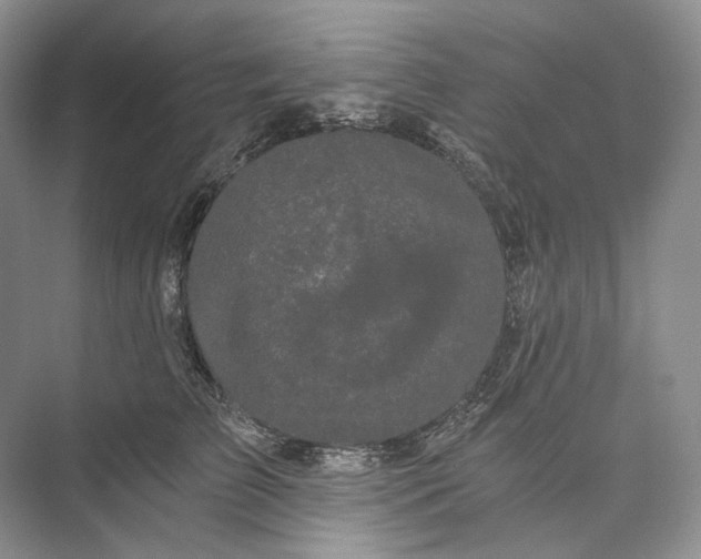 X0000073490709200608140842