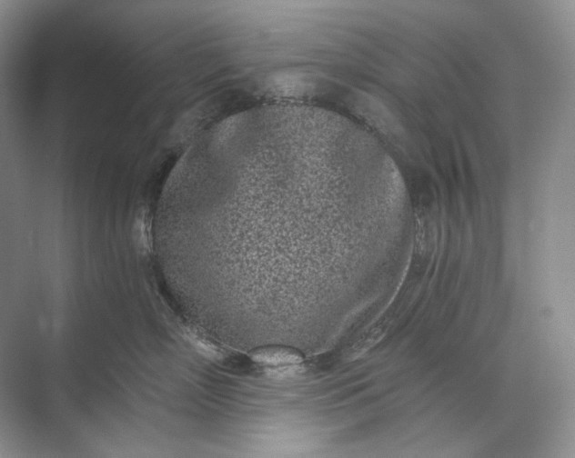 X0000073490718200608140842