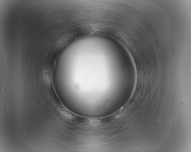 X0000073490719200608140842