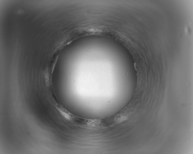 X0000073490720200608140842