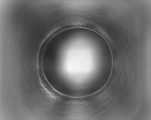 X0000073490722200608140841