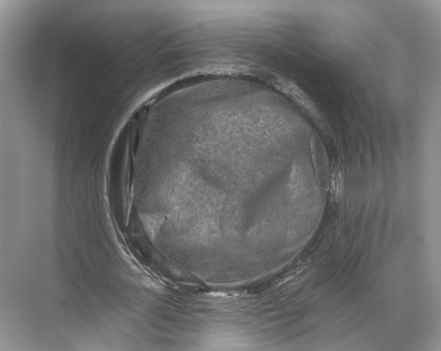 X0000073490724200608140841