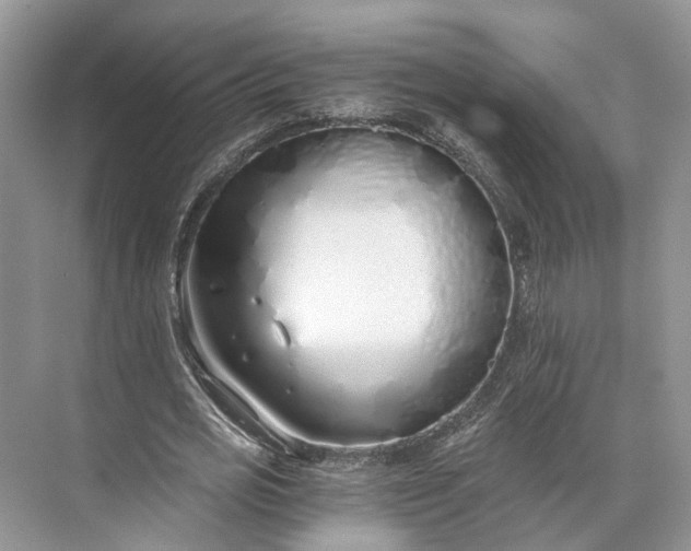 X0000073490725200608140841