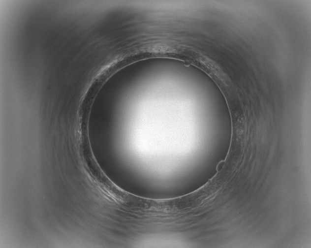 X0000073490727200608140841