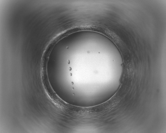 X0000073490728200608140841