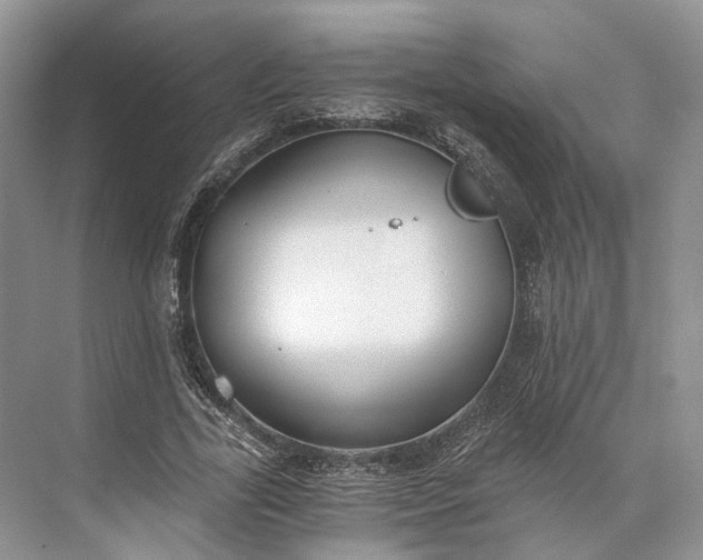 X0000073490731200608140841