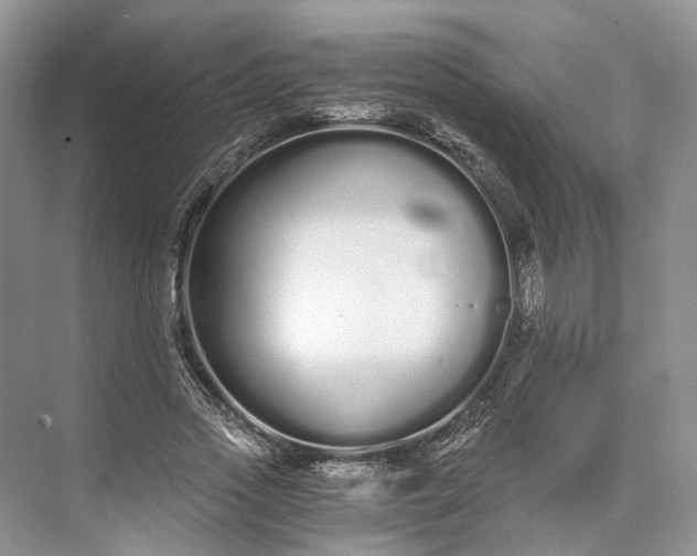 X0000073490733200608140841