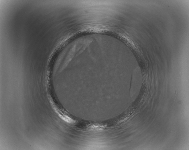 X0000073490736200608140841