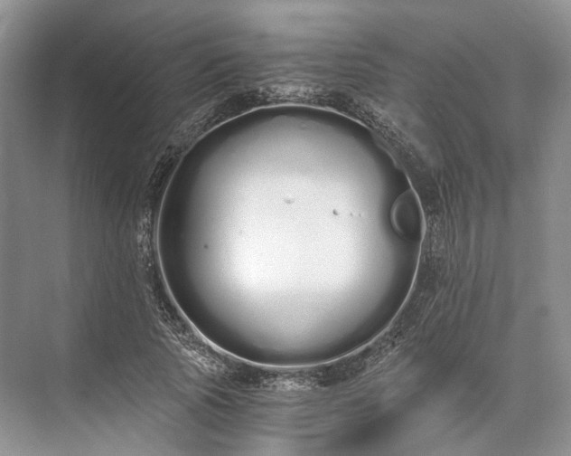 X0000073490737200608140841