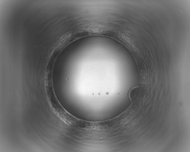 X0000073490738200608140841