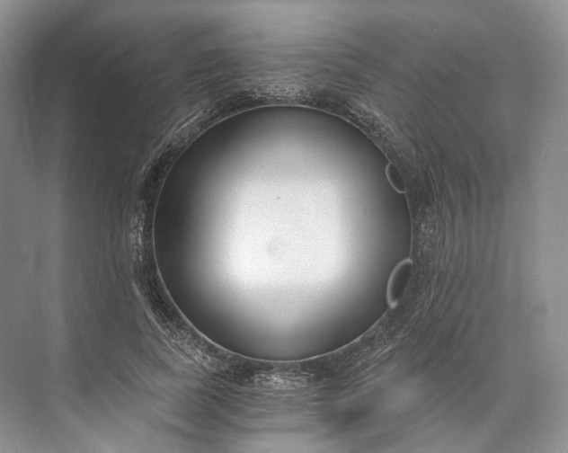 X0000073490739200608140841