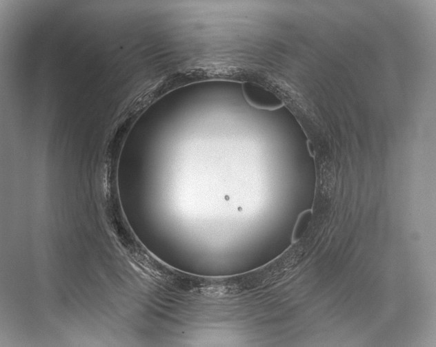 X0000073490740200608140841