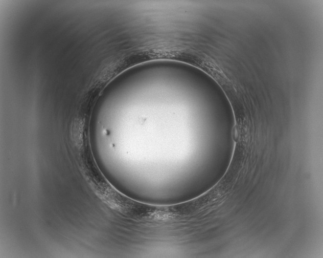 X0000073490742200608140842