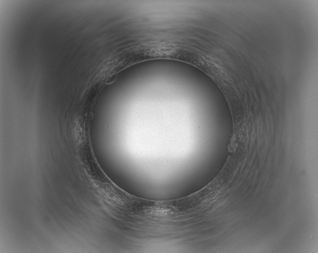 X0000073490743200608140842