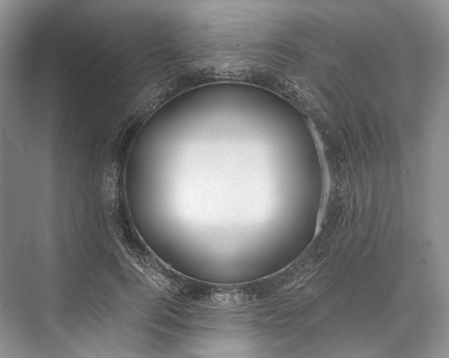 X0000073490744200608140842