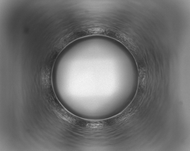 X0000073490745200608140842